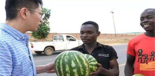 kk表示不服黑料吃瓜,吃瓜群众见证真相大白