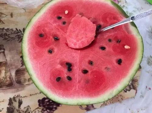 黑料吃瓜网一区二区三区,揭秘网络八卦背后的真相与秘密